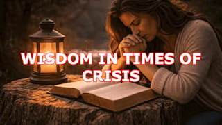 What is Wisdom in times of crisis